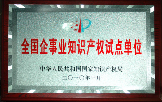 仁和集團被確定為“全國企事業(yè)知識產(chǎn)權(quán)試點單位”